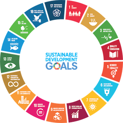 Sustainable Development Goals (SDG) wheel